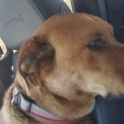 Profile Picture of Cristal Martin (@cristalmartin1977) on Youtube