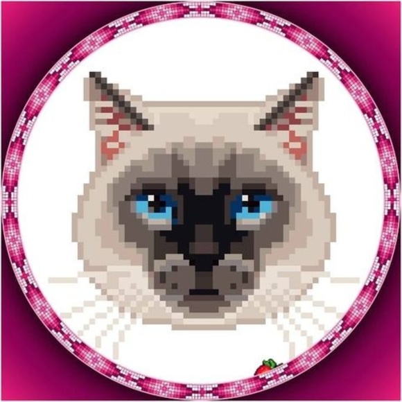 Profile Picture of Corey-rae Sanderson (@coreyrae007) on Poshmark