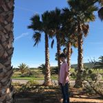 Albert Ramon - Instagram Profile Picture of Albert Ramon (@albertramon1) on Instagram