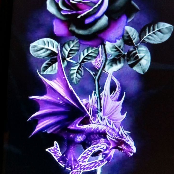 Mark Alcott - Tiktok Profile Picture of Mark Alcott (@snglolderdude) on Tiktok