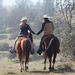 Profile Picture of Brian Hallett (@horsetailranch) on Pinterest