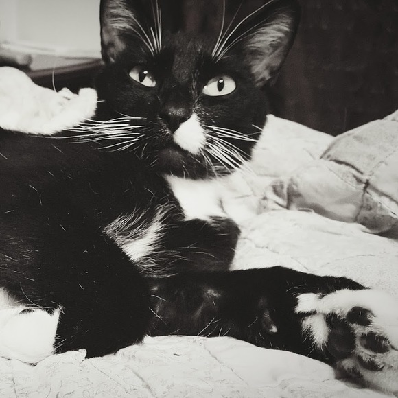 Profile Picture of Jade Winter (@jadewinter96) on Poshmark