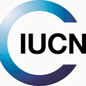 IUCN MALDIVES MARINE PROJECTS - Youtube Profile Picture of IUCN MALDIVES MARINE PROJECTS (@iucnmaldivesmarineprojects6075) on Youtube