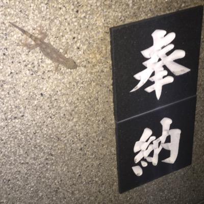 Profile Picture of きむらさん (@TomKimura3) on Twitter
