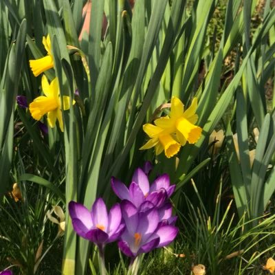 Profile Picture of Thomas Kilday (@ThomasKilday) on Twitter