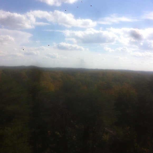 Samantha Vilvens - Poshmark Profile Picture of Samantha Vilvens (@sammie0123) on Poshmark