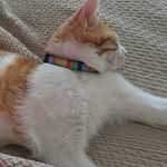 Profile Picture of Alexander Zhigue Saraguro (@matich91) on Instagram