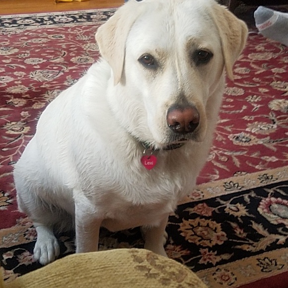 Rachel Haselow - Poshmark Profile Picture of Rachel Haselow (@rahaselo) on Poshmark