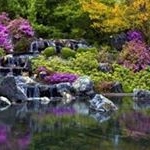 Profile Picture of irisrodriquez1991 (@irisrodriquez1991) on Instagram