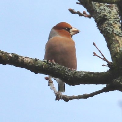 Profile Picture of Alan Dawson (@alydawson2) on Twitter