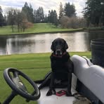 Profile Picture of James Staigers (@james.staigers) on Facebook