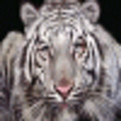 Keith Brunson - Twitter Profile Picture of Keith Brunson (@miyennimd) on Twitter