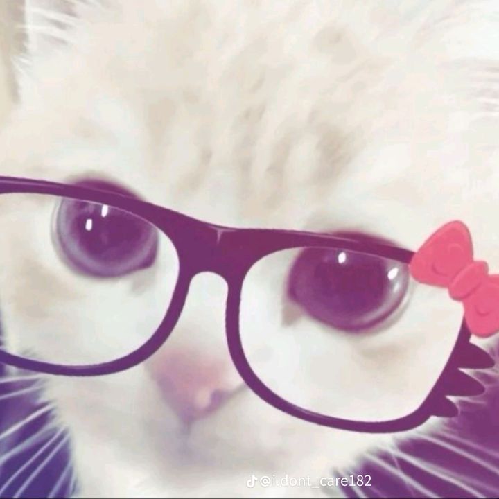 Profile Picture of Sadie Singleton (@sadiesingleton6) on Tiktok