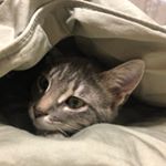 Dawn Rodger Melin - Instagram Profile Picture of Dawn Rodger Melin (@dawnnmelin) on Instagram