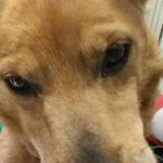 Profile Picture of jeremiah bronson (@jeremiah.bronson) on Instagram