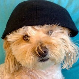 Profile Picture of Barney Gilbert (Barney Bro) (@barney.gilbert.94) on Facebook