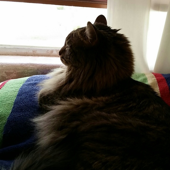 Profile Picture of Natasha Coursolle (@ncoursolle) on Poshmark