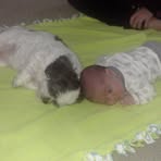 Profile Picture of Brian Karcz (@brian.karcz.1) on Facebook