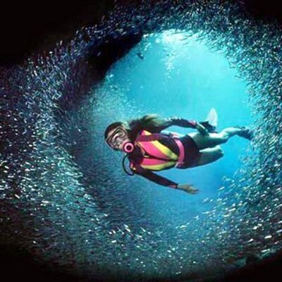 Profile Picture of Jill Young (@MarineJill) on Twitter