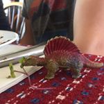 Profile Picture of Glenn (@glenngoesplaces) on Instagram