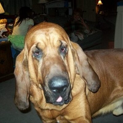 Profile Picture of Robert Waldrop (@Bobwaldr) on Twitter