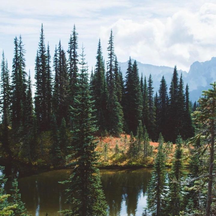 Profile Picture of colinbrewer (@colin.brewer) on Tiktok