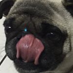 Profile Picture of Maria Chora Chora (@semmaravilha) on Instagram