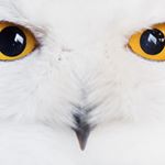 James Ligon - Instagram Profile Picture of James Ligon (@aaronmidd34) on Instagram