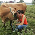 Profile Picture of Katie Dotterer-Pyle (@cowcomfortinndairy) on Instagram