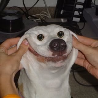 Profile Picture of lukehotwagner (@lukehotwagner) on Instagram