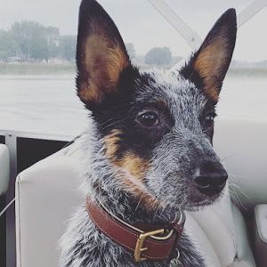 keith bogdanovich - Tiktok Profile Picture of keith bogdanovich (@keith0844) on Tiktok