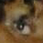 Profile Picture of miriam knight (@queenshawty) on Flickr