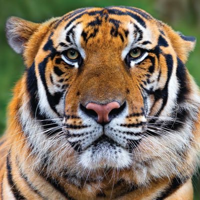 Profile Picture of Scott Turner Moved Accounts (@ScottMoved) on Twitter