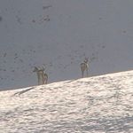 Profile Picture of Benjamin amstutz (@benjaminamstutz) on Instagram