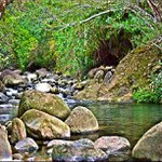 Profile Picture of Katelyn vance (@somberpro) on Instagram