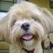 Profile Picture of Debbie Does Crochet (@DebDoesCrochet) on Pinterest