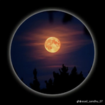 Profile Picture of Rocio Sánchez Carrasco (@Rocio-Sánchez-Carrasco) on Facebook