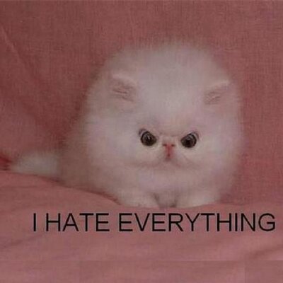 Profile Picture of Jason McReynolds (@Darkclown626) on Twitter