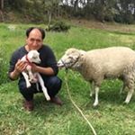 Profile Picture of Luis Reinaldo Panora (@luis.panora.94) on Instagram