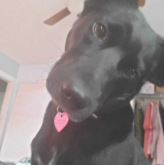 Profile Picture of Debbs Kulcsar (@debbskulcsar) on Poshmark