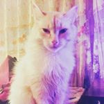 Profile Picture of Виктор (@victor_yumshanov) on Instagram