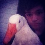 Profile Picture of Robert Dobson (@robby_dobby1) on Instagram
