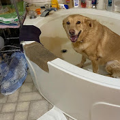 Profile Picture of Pig Tyler Kimbrell (@pigtylerkimbrell2294) on Youtube