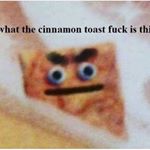 samwise n dwayne - Instagram Profile Picture of samwise n dwayne (@invertebuddies) on Instagram