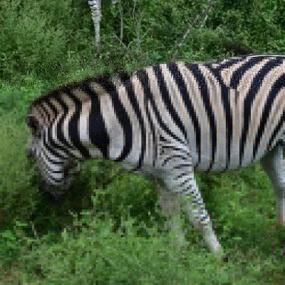 Profile Picture of Isaac Summers (@IsaacSu28107635) on Twitter