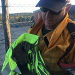 Profile Picture of Greg Ryan (@gregryan8980) on Instagram