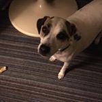Profile Picture of Larry Lowery (@larrylowery61) on Instagram