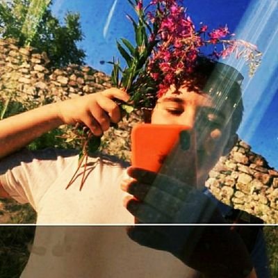 Profile Picture of Plishka_ro (@PlishkaR) on Twitter