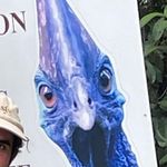 Profile Picture of zoe.walshhh (@zoe.walshhh) on Instagram