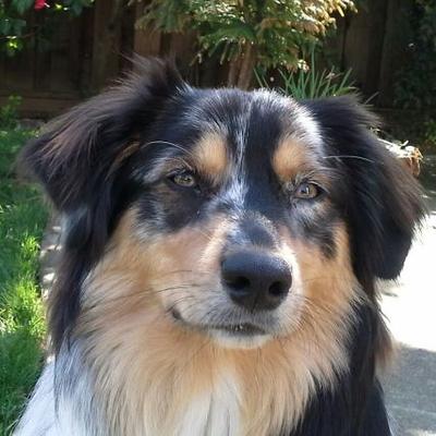 Profile Picture of Kathleen Moody (@jkmoodykm1) on Twitter